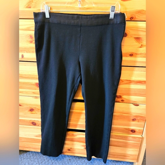 Everlane Pants - EVERLANE BLACK CAPRIS WITH SIDE ZIPPER. SIZE 10.